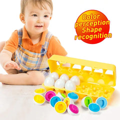 لعبة البيض التعليمية – Matching Eggs (12 بيضة)