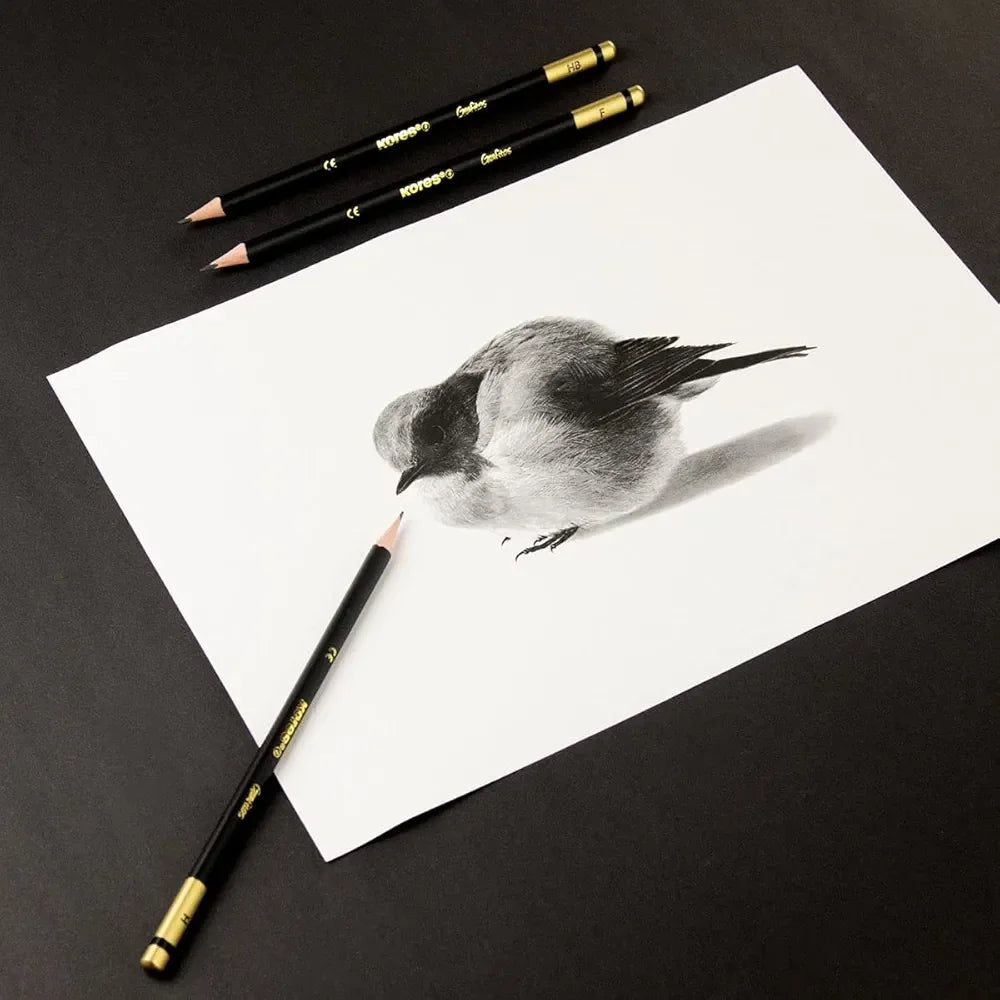 أقلام رصاص Kores Grafitos Art هي مجموعة فنانين مكونة من 12 قطعة تأتي في علبة معدنية - Sooqja سوقجة