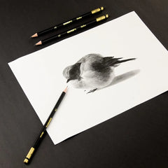 أقلام رصاص Kores Grafitos Art هي مجموعة فنانين مكونة من 12 قطعة تأتي في علبة معدنية - Sooqja سوقجة